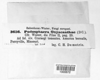 Image Associated With the Occurence